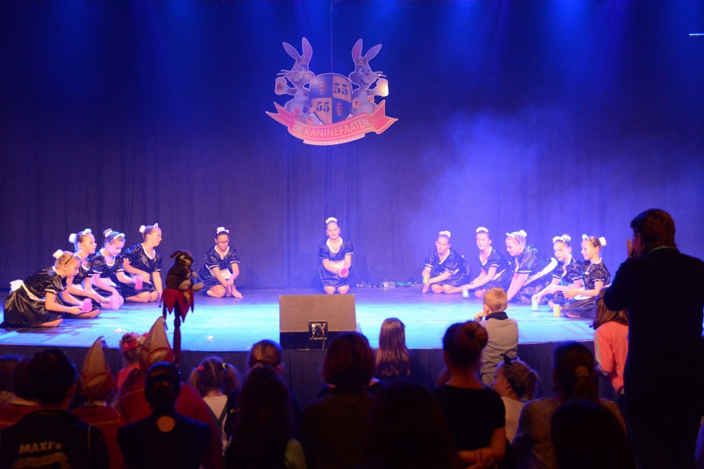../Images/Dansmarieke festival 2015 306.jpg